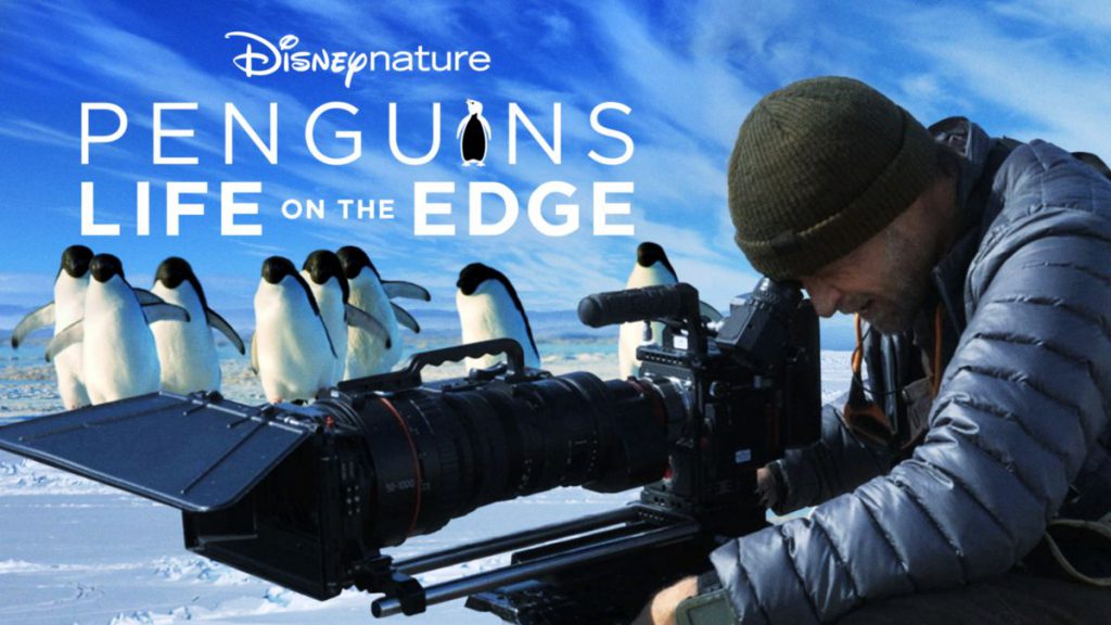 Penguins: Life On The Edge - The Reelness